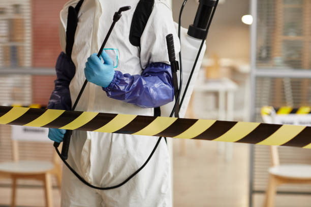 Professional Sewage Cleanup technician working in Eustis, FL