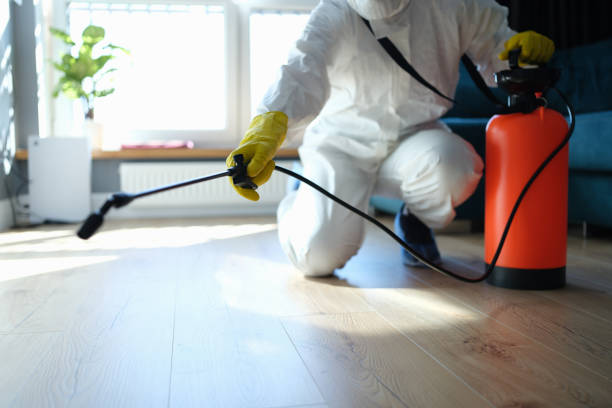 Trusted Sewage Cleanup service in Eustis, FL - Four Month Blood Cleanse